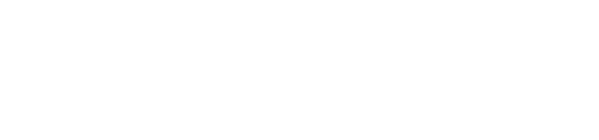 The MENA Catalysts